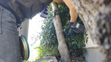 #伐採#剪定 #草抜き #芝生 #防草シート #雑草