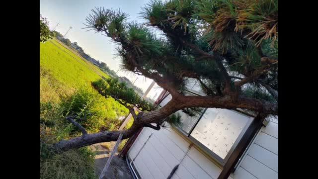 #孫の手サービス参上 #古民家再生 #リノベーション#diy