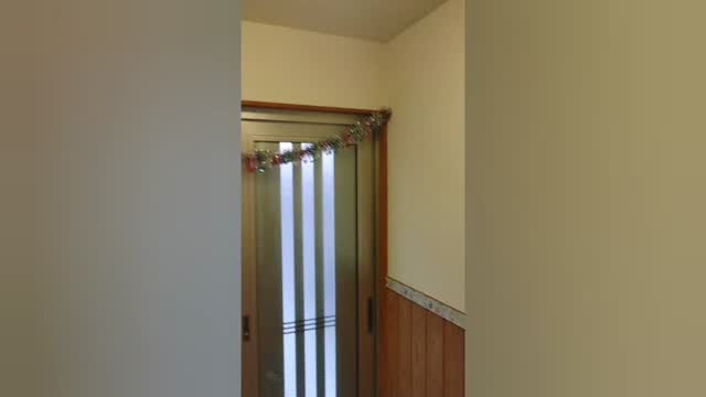 #孫の手サービス参上 #diy #壁紙