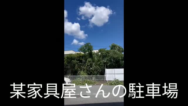 #孫の手サービス参上 #剪定 #伐採 #危険 #駐車場真夏